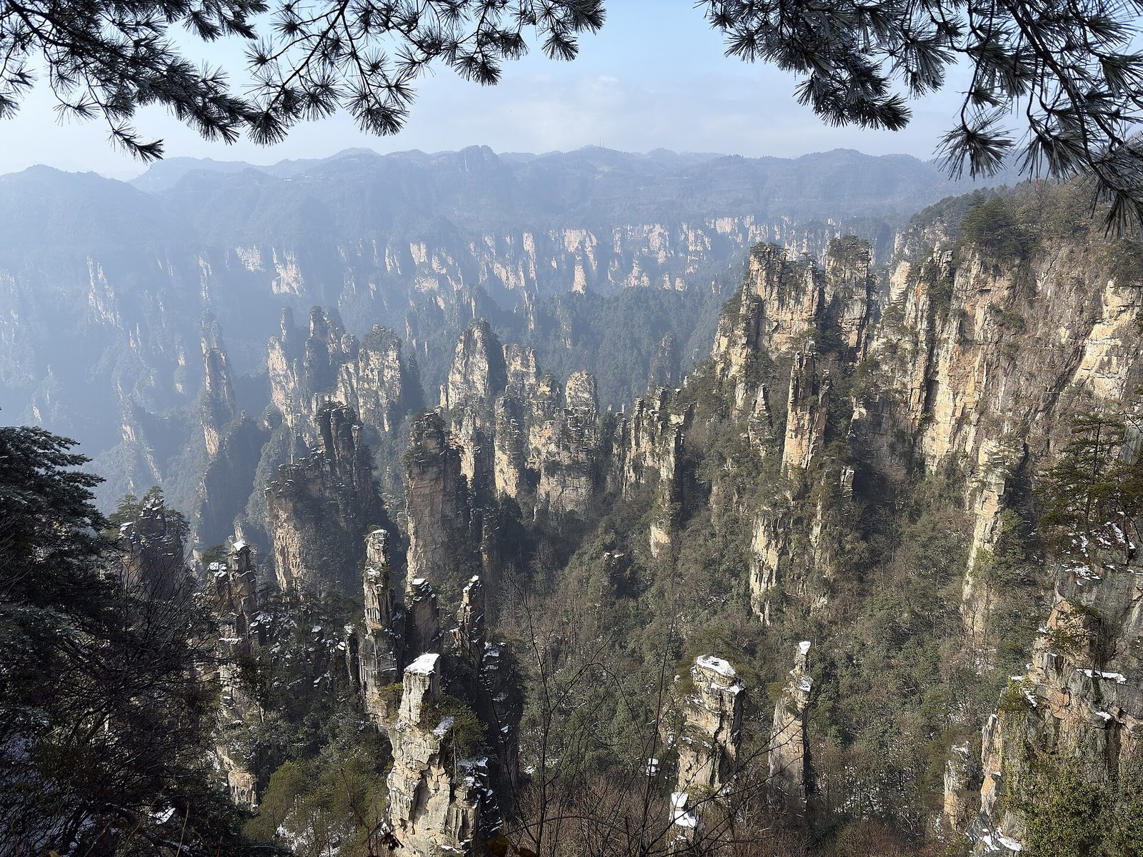 Sandstone pillars in Zhangjiajie National Forest Park
